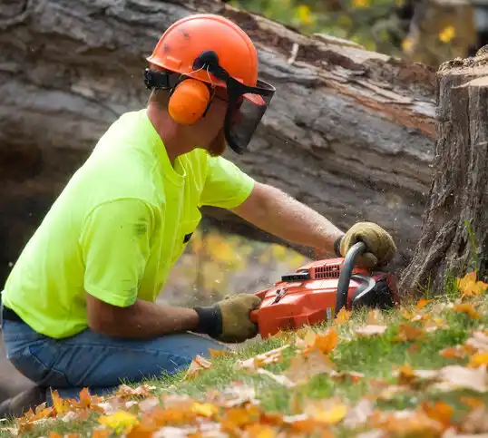 tree services Delta